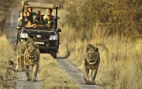 Morokolo Safari Lodge Self-Catering